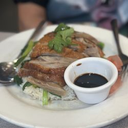 King of Thai Boat Noodles - Roasted Duck over Rice