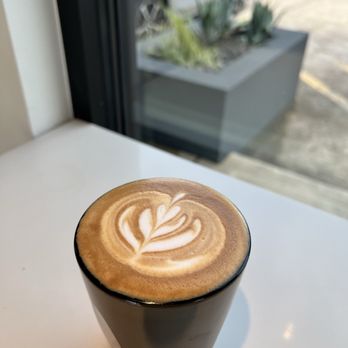 Cafe ZunZun - Coffee & Tea Near Me - Cypress, Texas Cafe ZunZun - Coffee & Tea Near Me - Cypress, Texas