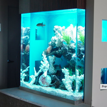 Southwest Seas - Aquarium Services Near Me - Phoenix, Arizona