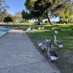 Waller Park