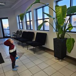 Bridges Chiropractic Clinic - The setting at this chiropractor is very therapeutic with many plants and more that make the space feel alive yet relaxed.