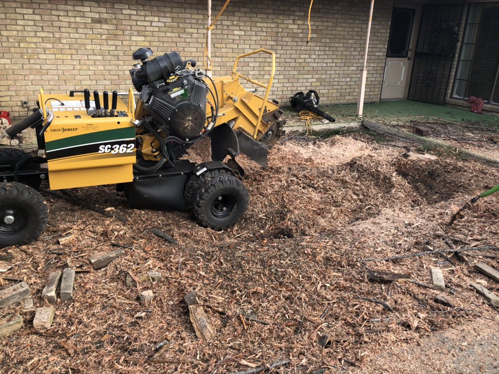 Menjivar Tree Service - tree service in Garland, TX