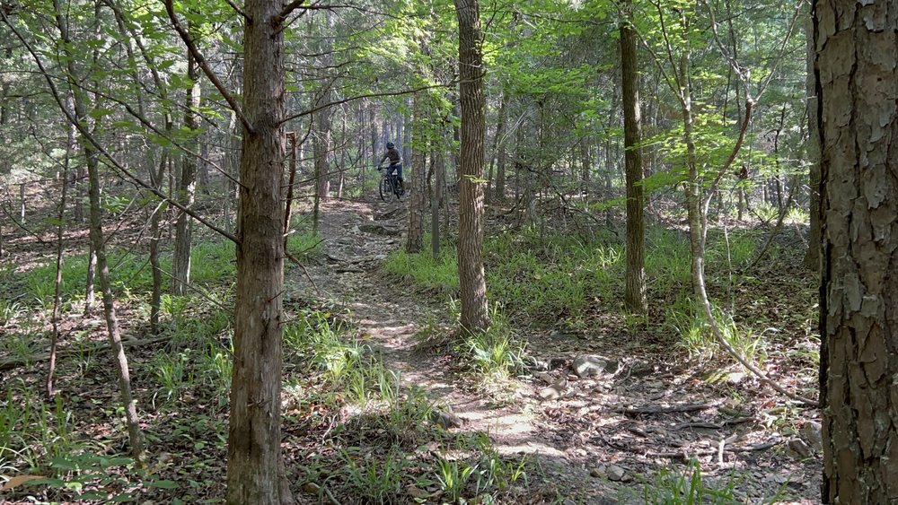 Social spots from Chewacla State Park