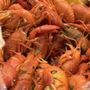 Photo of Kraken Wing & Seafood