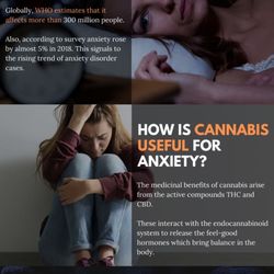 Cannabis Clinic Stockton