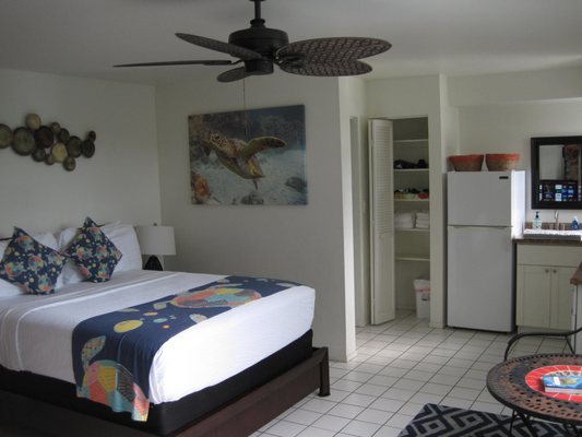 Big Island Retreat by null