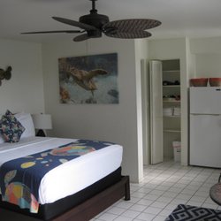 Big Island Retreat - Honu Room