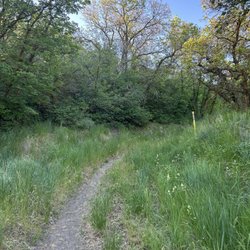 Ghost Falls Trail