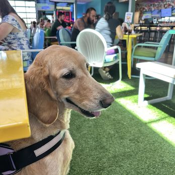 Backyard - Desert Ridge - Coolest dog friendly patio. - Sports Bars Near Me - Phoenix, Arizona