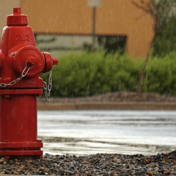 Safety Plus Services