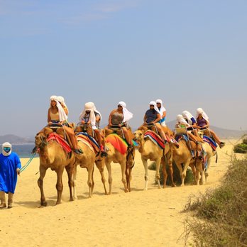 Cabo Adventures - Boat Tours Near Me - Cabo San Lucas, BCS Cabo Adventures - Boat Tours Near Me - Cabo San Lucas, BCS