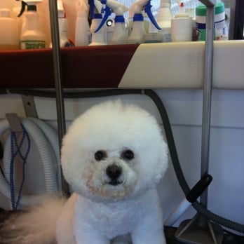 waggins west mobile grooming