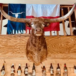 Bodacious over the Wine Bar