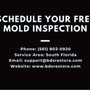 Photo of BDS Restore