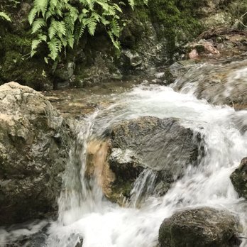 Waterfall Loop at Mount Diablo State Park - Hiking Near Me - Clayton, California