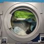 Photo of Squeaky Bees Laundromat