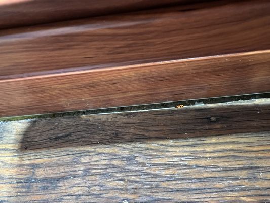 Cramer Siding & Window LLC