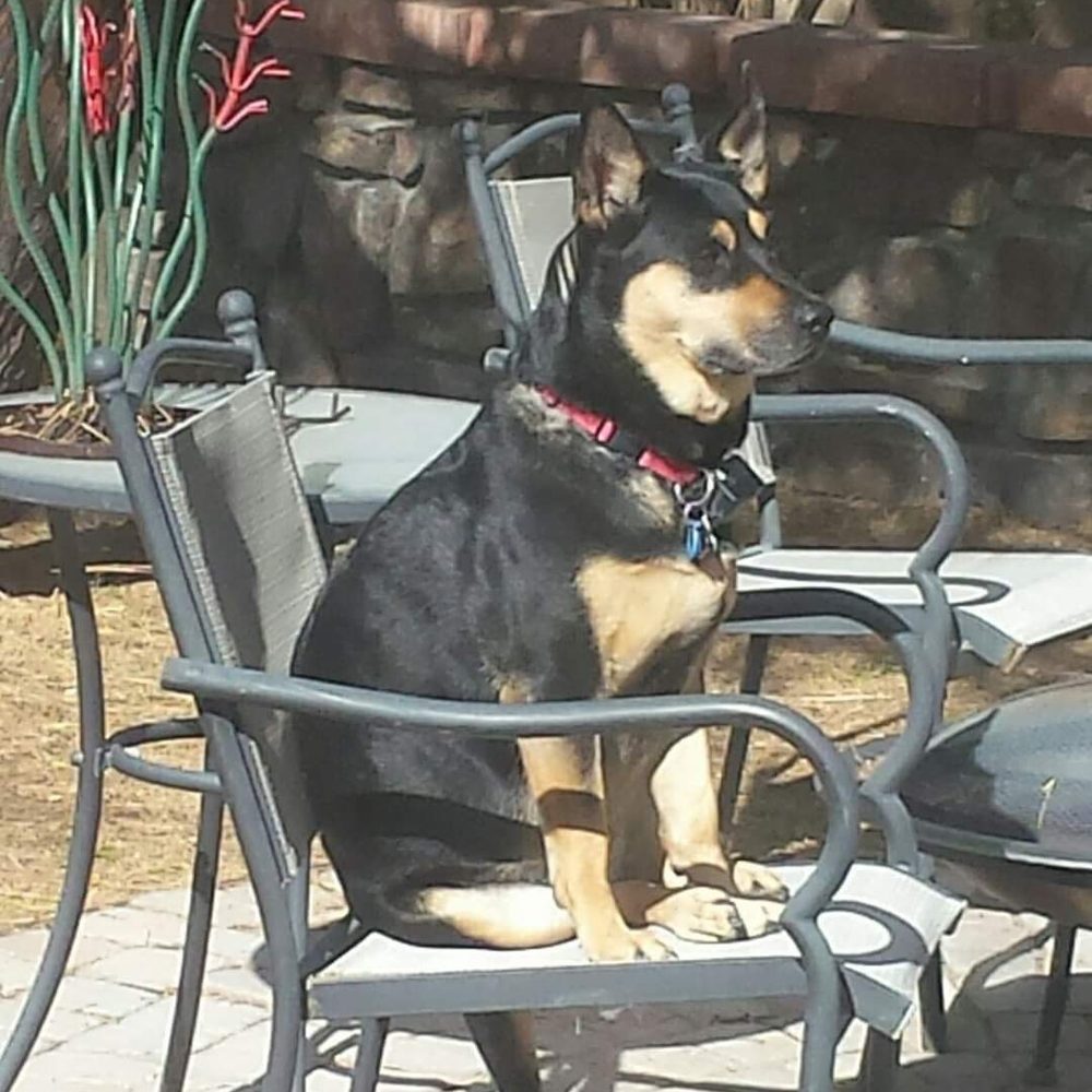 Never knew where I would find sitting, enjoying the out doors. Never knew where I would find sitting, enjoying the out doors.