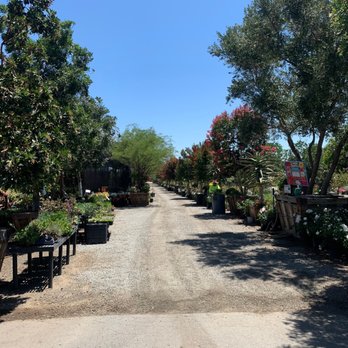 Moon Valley Nurseries - Path to check stuff out - Nurseries & Gardening Near Me - Murrieta, California