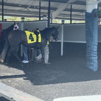 Tampa Bay Downs - Pre-race warm up in the paddock - Casinos Near Me - Tampa, Florida Tampa Bay Downs - Pre-race warm up in the paddock - Casinos Near Me - Tampa, Florida