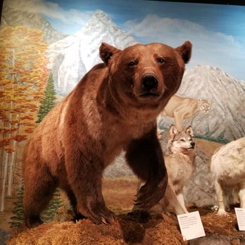 Blackhawk Museum - Museums Near Me - Danville, California Blackhawk Museum - Museums Near Me - Danville, California