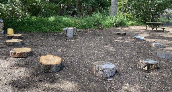 Madison Cooperative Nursery School