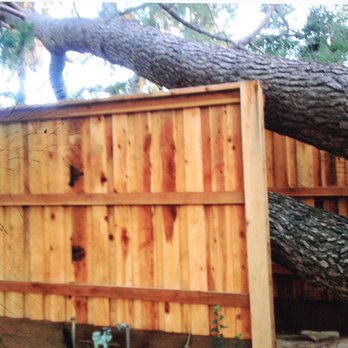 Higby Tree Services - Tree Services Near Me - Placerville, California