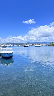 La Guancha by null