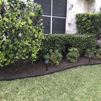 PRV Tree Service - This is the front at the house the way they curl it! - Tree Services Near Me PRV Tree Service - This is the front at the house the way they curl it! - Tree Services Near Me