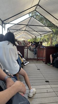 Roaring Camp by null