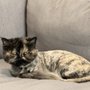 Photo of EarthWise Pet Valrico