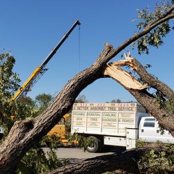 A Better Arborist - A Better Tree Service doing clean up during last big tornado.