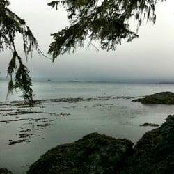Hidden Cove Lodge - View from our porch