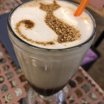 小貓花園 87 Photos 福華路129號 士林區 台北市 Taiwan Yelp