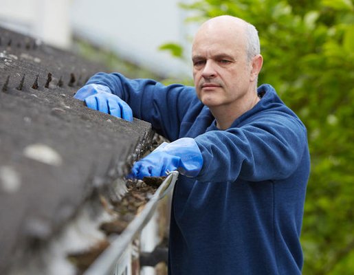 Wilfredo's Landscaping Services