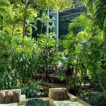 Paradisus - Hotels Near Me - Cancún, ROO