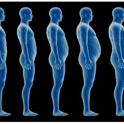 Mark J Kelly, MD - Let's reverse this trend!