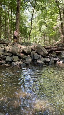 Cloudland Canyon State Park by null