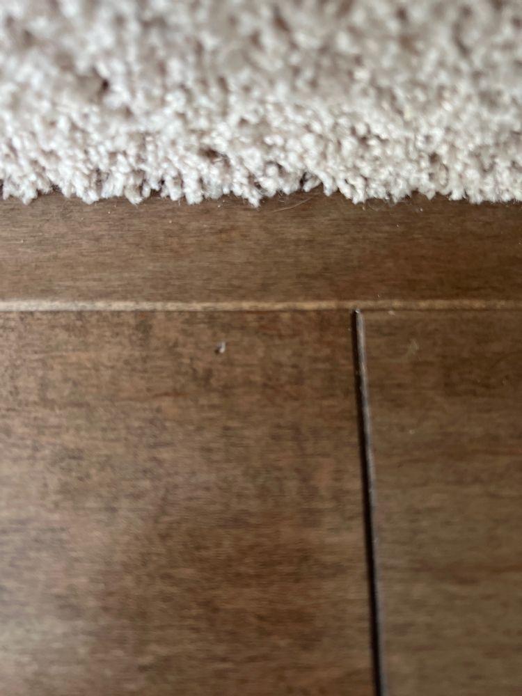 SP FLOORS AND DESIGN CENTER Updated October 2024 2917 Washington Rd