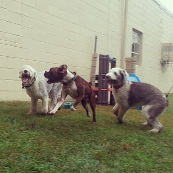 All 4 Paws - Pet Groomers Near Me - Newark, Delaware All 4 Paws - Pet Groomers Near Me - Newark, Delaware