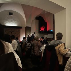 Fado Singer