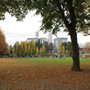Photo of Joseph Park