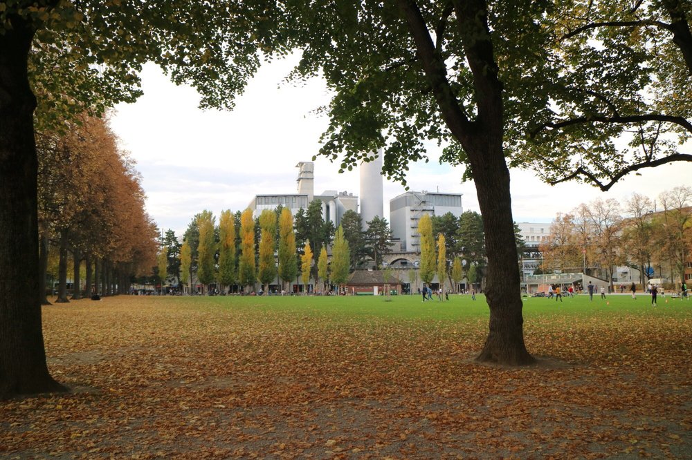 Joseph Park