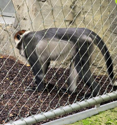 Hellabrunn Zoo by null