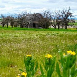 Goldendale Mountain Identifier