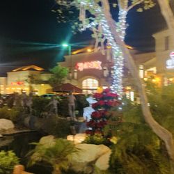 Holiday Lights