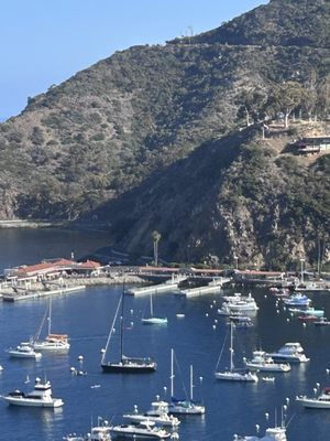 Catalina Island Conservancy Trailhead by null