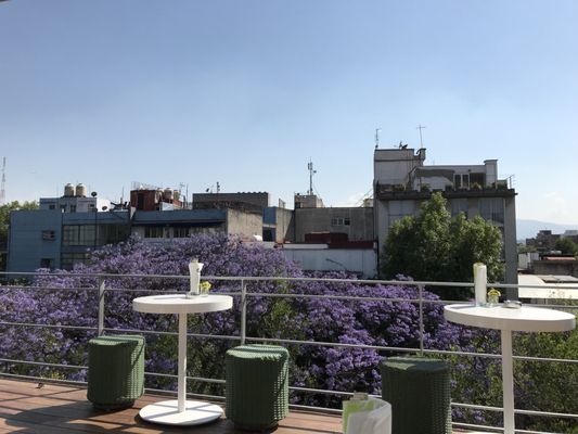 Hotel CondesaDF by null