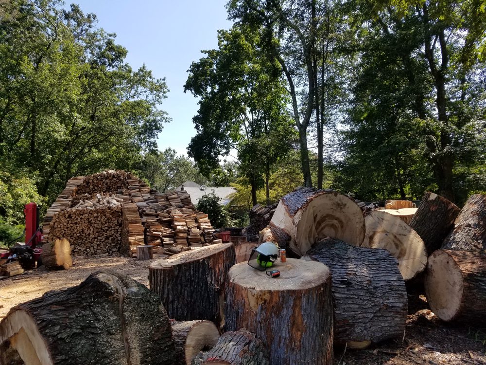 CAPT BILL FIREWOOD FOR SALE Updated September 2024 12 Photos 81