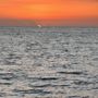 Photo of Star Sunset